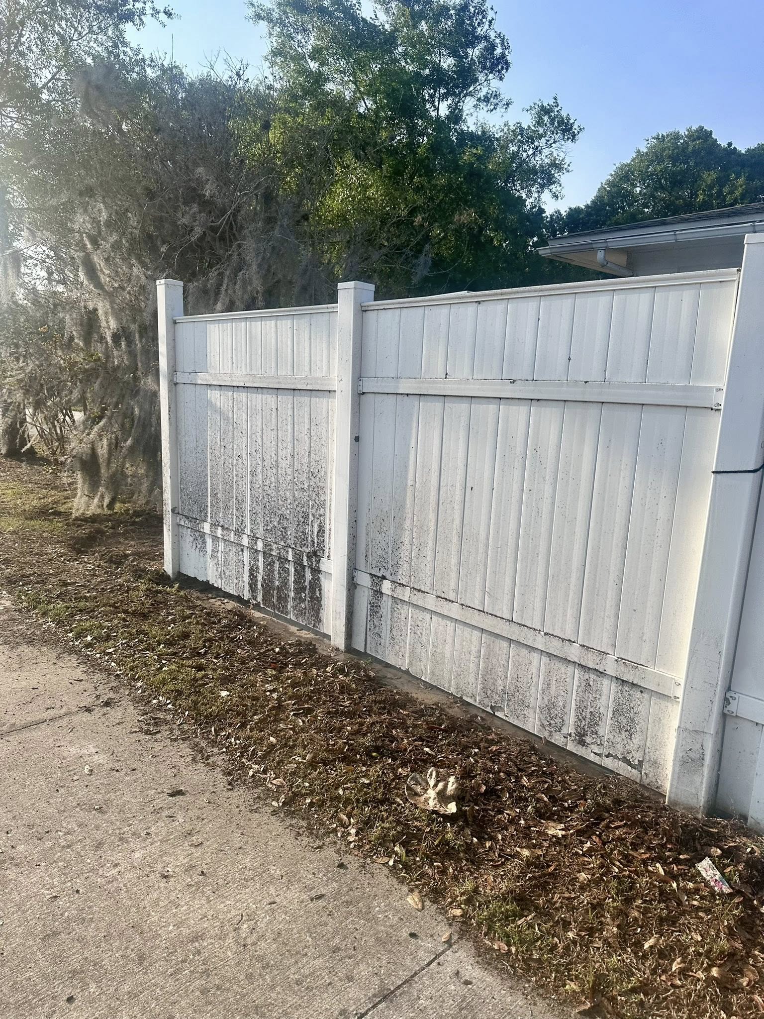 Fence Cleaning — Before